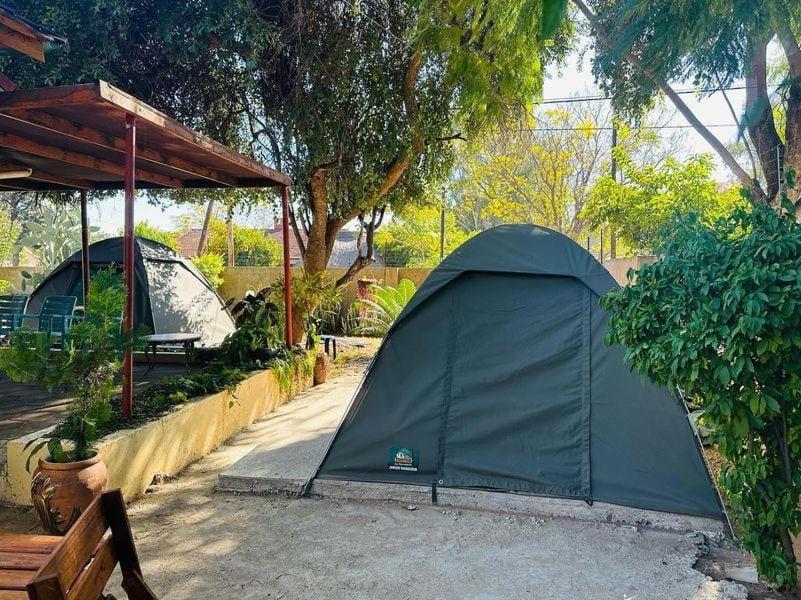Birdville Bnb Guest House Gaborone Dış mekan fotoğraf
